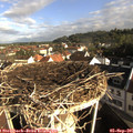 08_35-nest.jpg