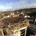 08_40-nest.jpg