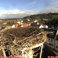 08_45-nest.jpg