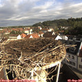 08_55-nest.jpg