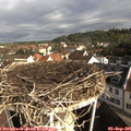 09_00-nest.jpg