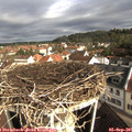 09_05-nest.jpg