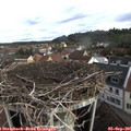 09_10-nest.jpg