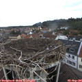 09_15-nest.jpg