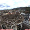 09_20-nest.jpg