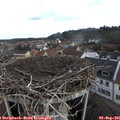 09_25-nest.jpg