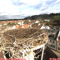 09_30-nest.jpg