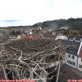 09_35-nest.jpg