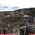 09_40-nest.jpg