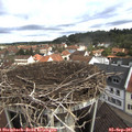 09_45-nest.jpg