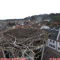 09_55-nest.jpg