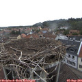 10_00-nest.jpg