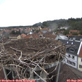10_05-nest.jpg