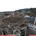 10_10-nest.jpg