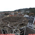 10_15-nest.jpg