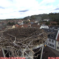 10_30-nest.jpg