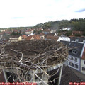 10_35-nest.jpg