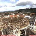 10_40-nest.jpg