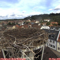 10_55-nest.jpg