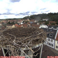 11_05-nest.jpg