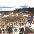 11_10-nest.jpg