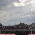 11_20-mast.jpg