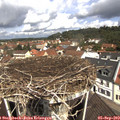 11_20-nest.jpg