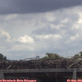 11_25-mast.jpg