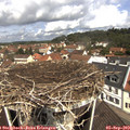 11_25-nest.jpg