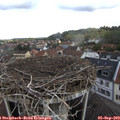 11_30-nest.jpg