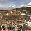 11_35-nest.jpg
