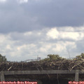 11_40-mast.jpg
