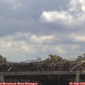 11_45-mast.jpg