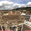 11_45-nest.jpg