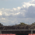 12_05-mast.jpg