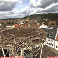 12_05-nest.jpg