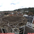 12_10-nest.jpg