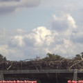 12_15-mast.jpg