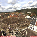 12_15-nest.jpg
