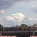 12_20-mast.jpg