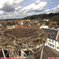 12_20-nest.jpg