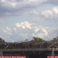 12_25-mast.jpg