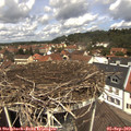 12_25-nest.jpg