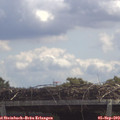 12_30-mast.jpg