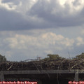 12_35-mast.jpg