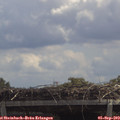 12_40-mast.jpg
