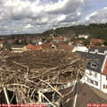 12_40-nest.jpg