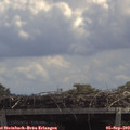 12_45-mast.jpg