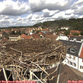 12_45-nest.jpg