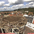12_50-nest.jpg